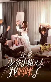 庄少,少爷小姐又去找妈咪了