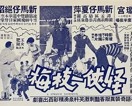 怪侠一枝梅