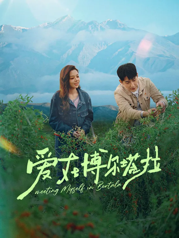 爱在博尔塔拉