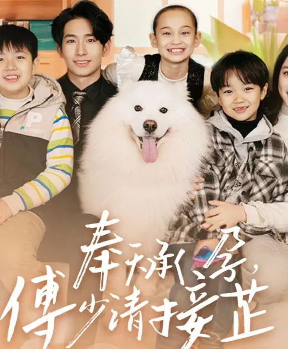 奉天承孕:傅少请接芷