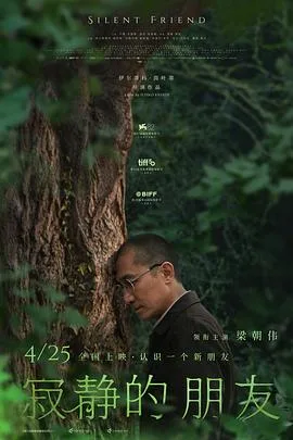 寂静的朋友