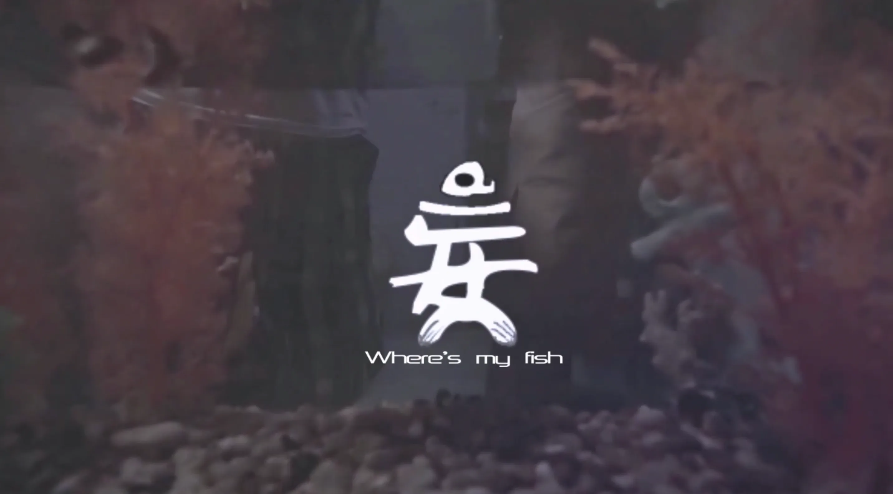 妄