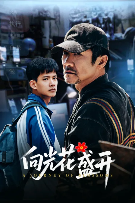 向光花盛开